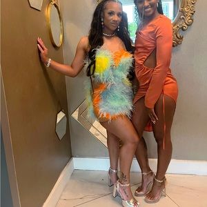 The Doll House fashion original Attia Feather dress!